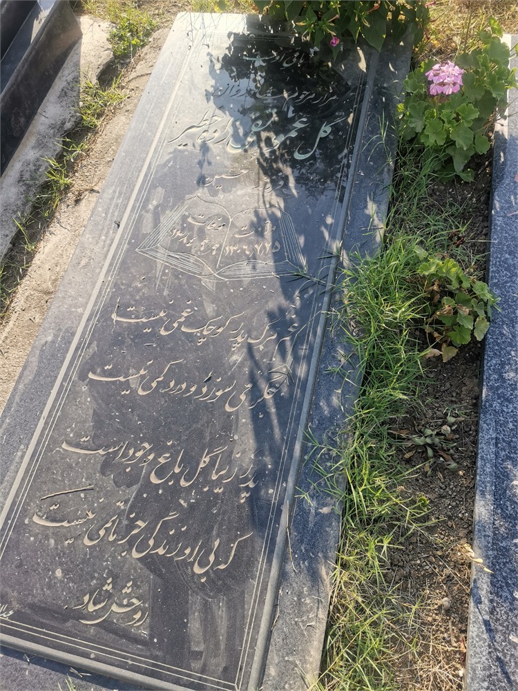 عکس گلعمو تقی زاده خطیر