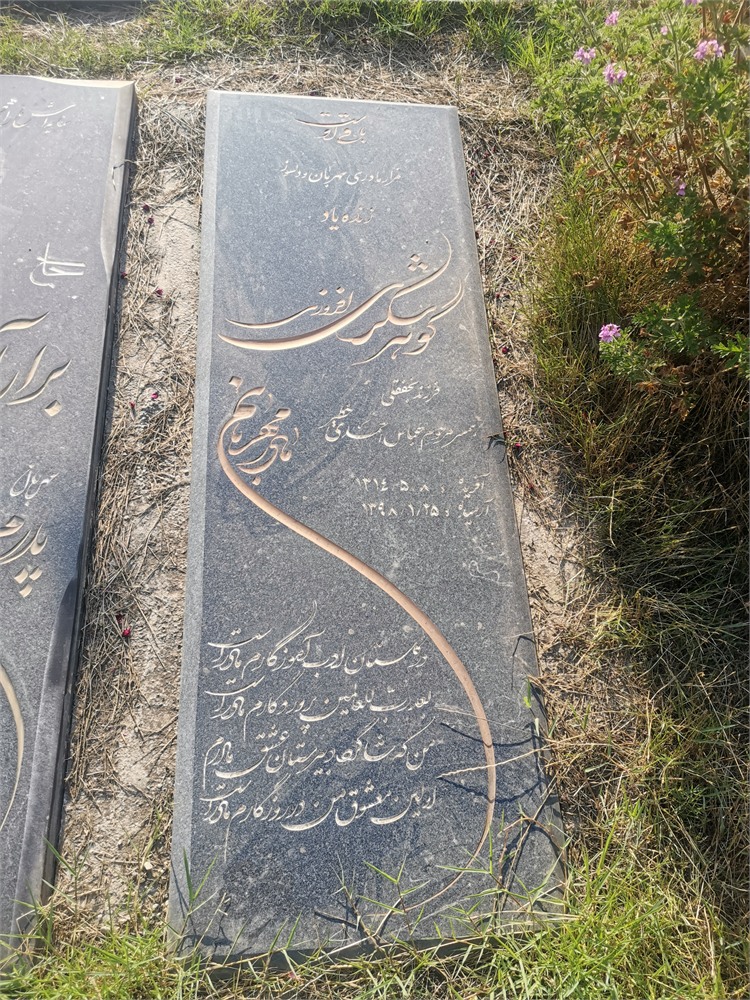 گوهر شکری افروزی