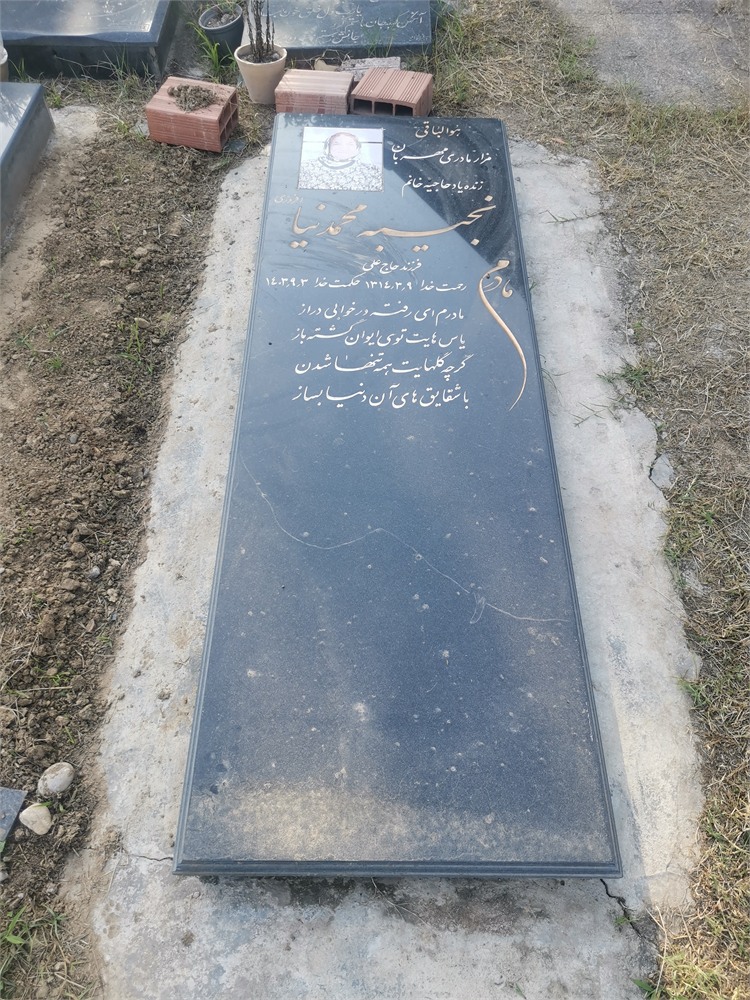 نجیبه محمدنیا افروزی