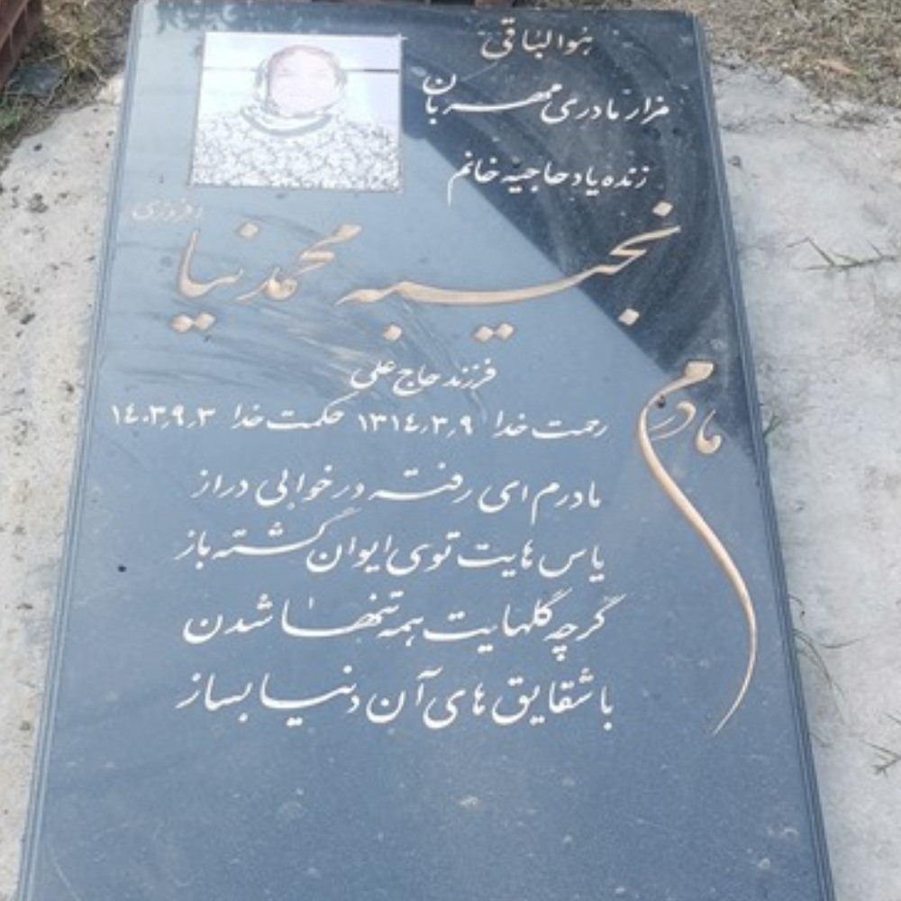 نجیبه محمدنیا افروزی