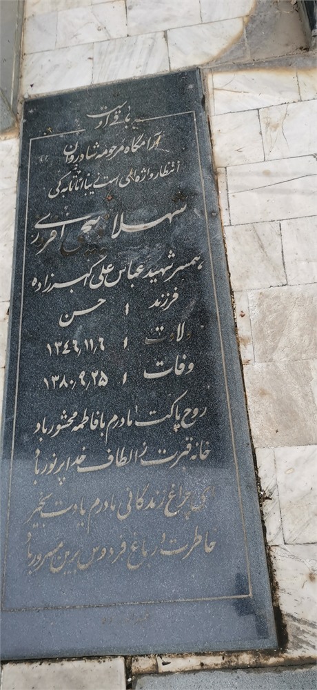 شهلا ذبیحی افروزی