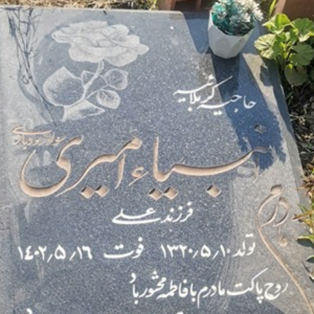 حاجیه انبیا امیری