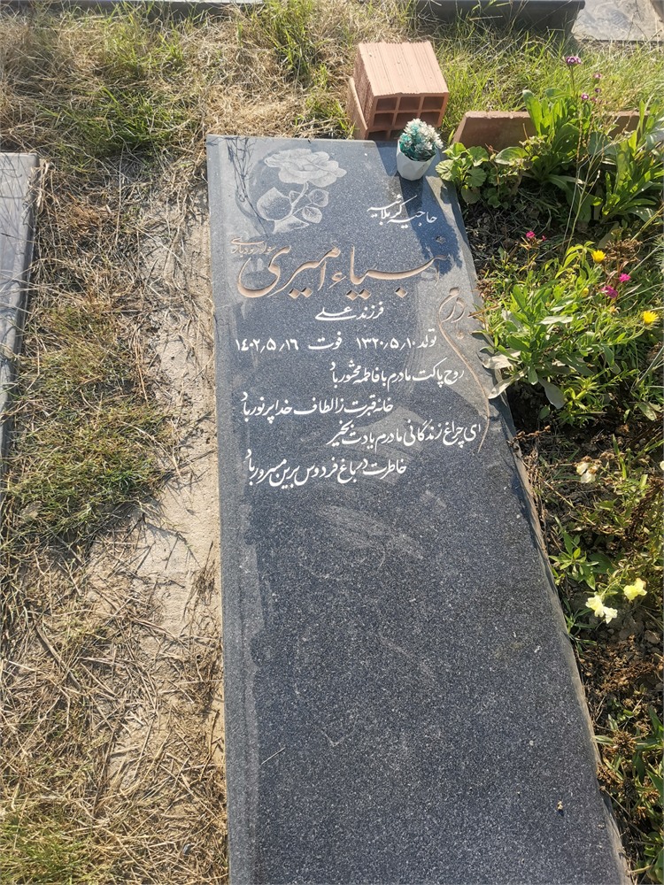 عکس حاجیه انبیا امیری